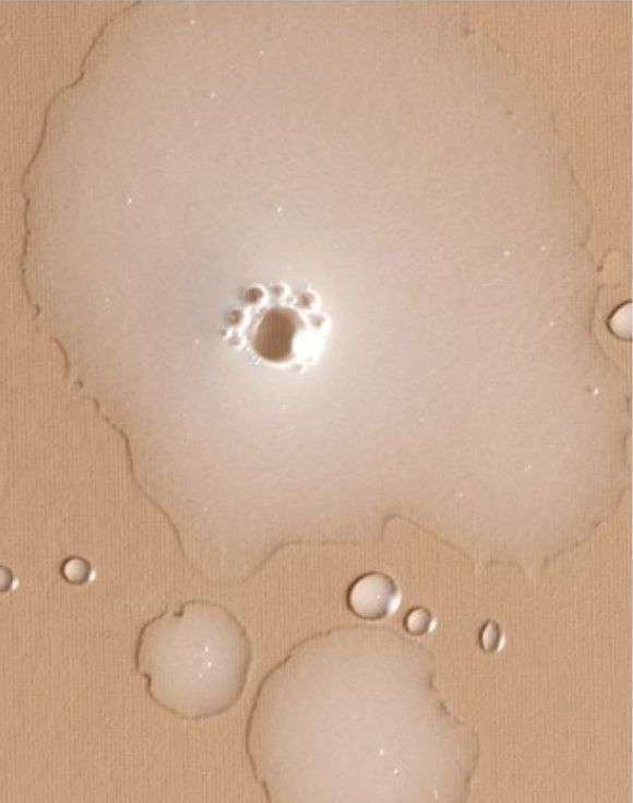 Organist Coconut + Peptides All-in-One Leave-in Conditoner