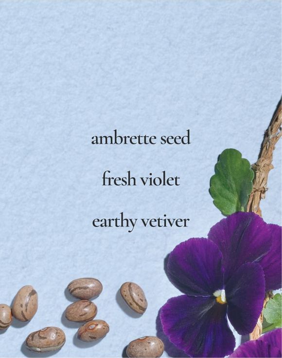 Moments Endless Highway Body Wash